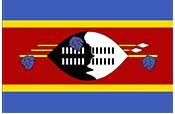 Eswatini flag