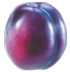 plum