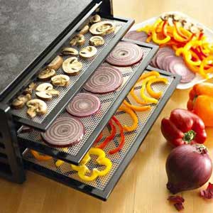 dehydrator