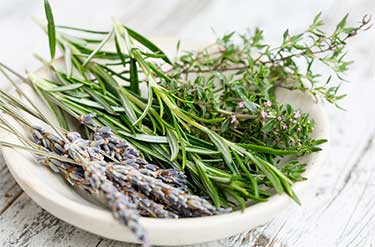 herbs in a bowl