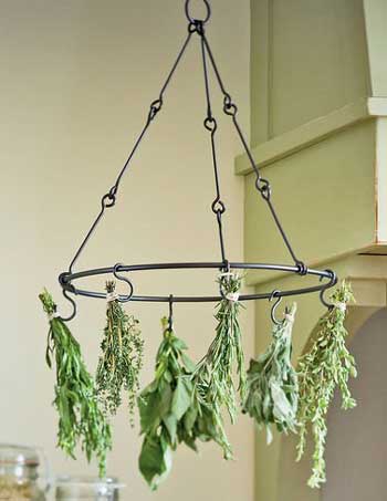herb hanger