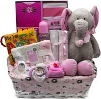 Bundle of Joy Deluxe Gift Basket