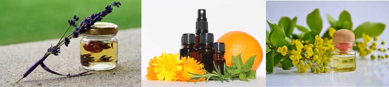 3 pixs of essential oils