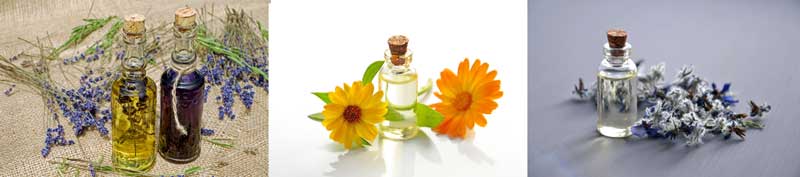 3 pixs of essential oils