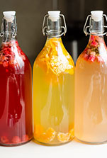Organic Kombucha Starter Kit