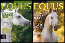 Equus magazine covers