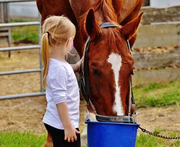 girl patting horse