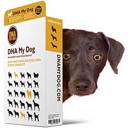 Canine Breed IdentificationTest Kit