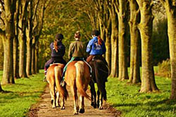 people riding horses